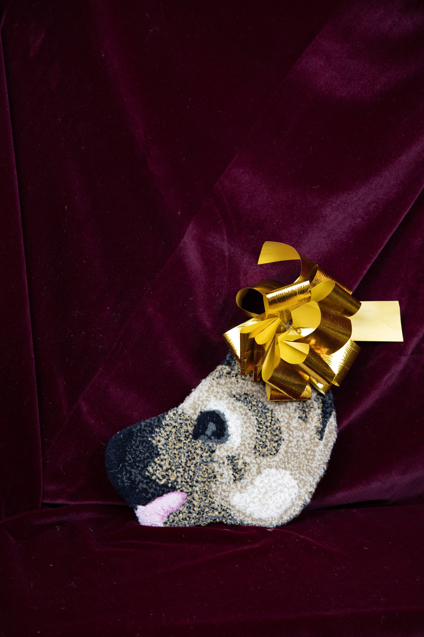 Tappeto Testa Dog 1